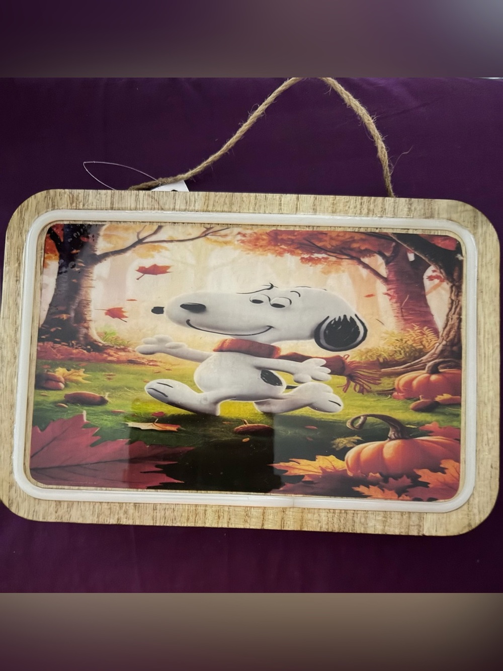 Peanuts Snoopy Fall Harvest Wall Sign - Orange, Green, Brown